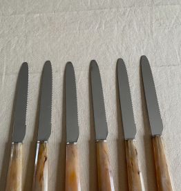 6 couteaux manche corne 