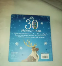 Livre La Reine des Neiges