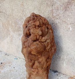 concretion appelée gogotte