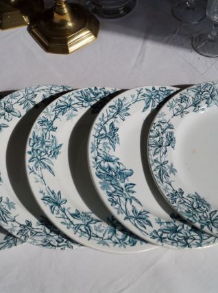 5 assiettes Terre de Fer, Moustiers