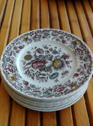 assiettes à dessert Anglaise - RIDGWAY - lot de 9.