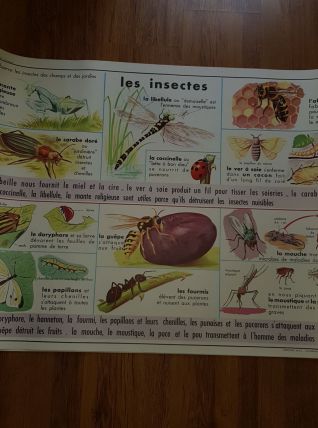 Affiche scolaire edition mdi 