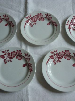 5 assiettes en faience vintage fleurs rouges