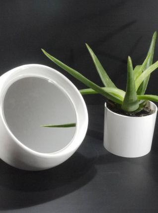 Miroir sphèrique culbuto