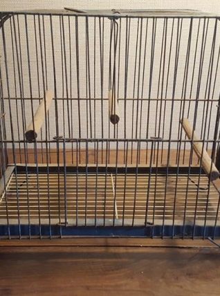ancienne cage à Oiseaux