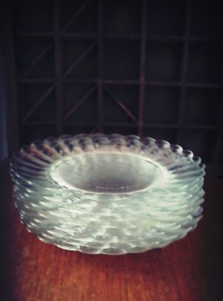 vintage DURALEX assiettes fleurs 