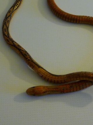 Serpents en bois articulés