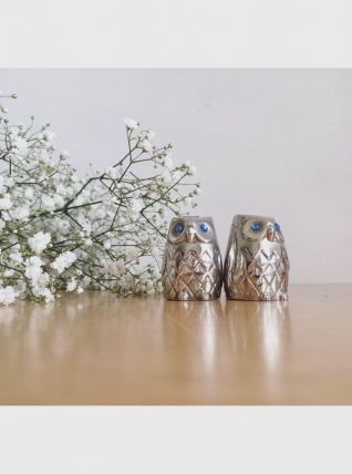 Salière/poivrier hiboux 