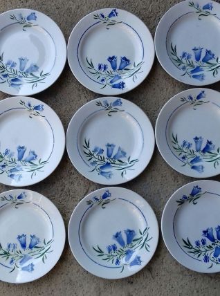 9 assiettes plates "bleuets"