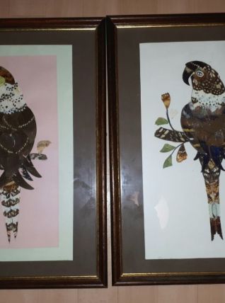 Tableau vintage en ailes de papillons, perroquets