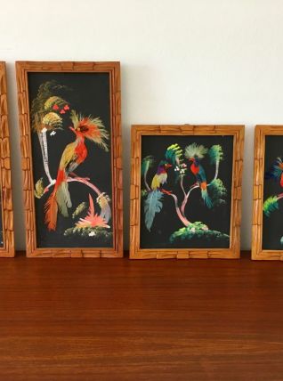 Tableaux oiseaux vintage années 50