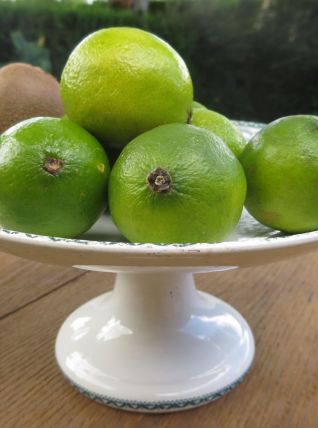 Ancienne Coupe à fruit sur pied  céramiques REJANE 