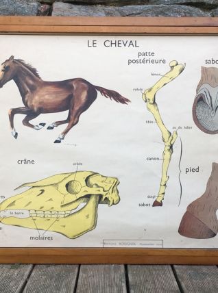 9 affiches pédagogiques + cadre en bois