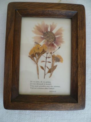 Cadre Fleurs séchées façon herbier vintage Bretagne