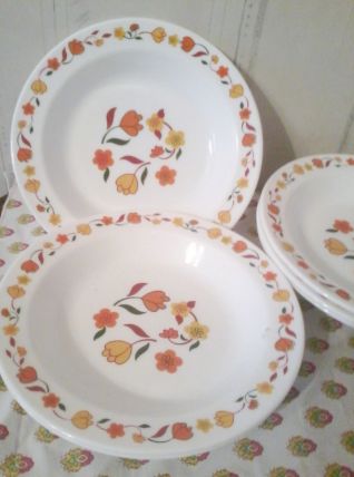 assiettes vintage Arcopal Lot de 6 assiettes creuses