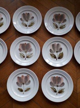 10 assiettes Saint Amand modèle CAPRI