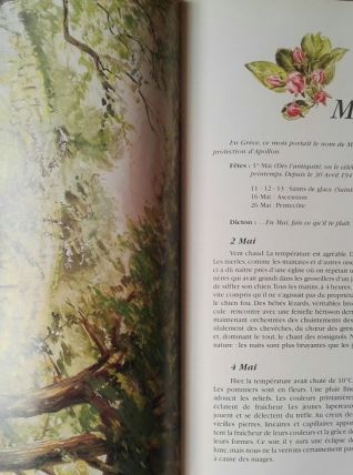 Les riches heures du Brugal, Michèle-Elisabeth Schmidt