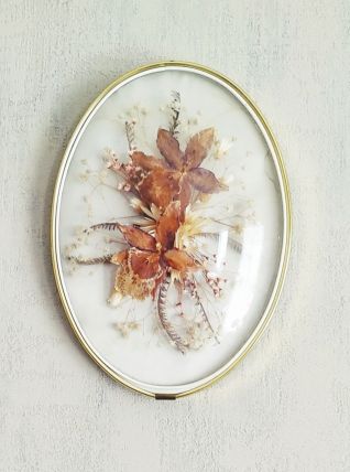 Cadre en verre bombé fleurs séchées (orchidées) 24cm 