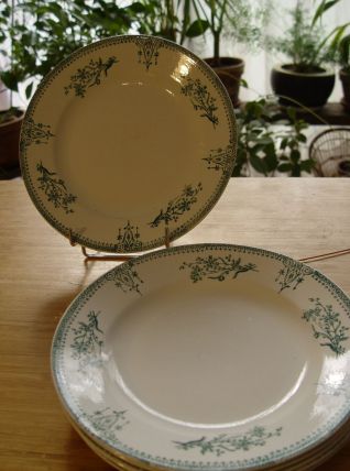 6 assiettes  anciennes Saint AMAND