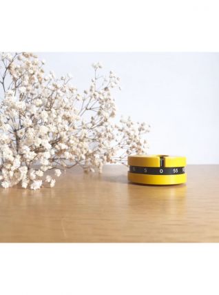 Minitimer Terraillon Richard Sapper vintage 