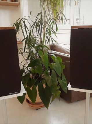 MORDAUNT SHORT "CARNIVAL 3 "