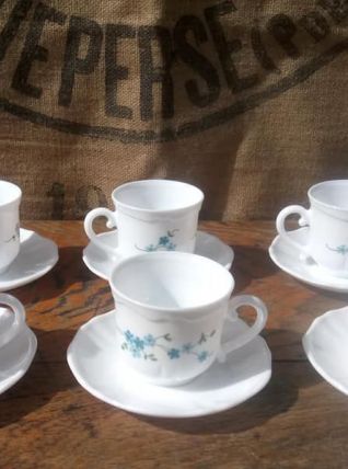 Ensemble de 6 tasses et soucoupes Arcopal Myosoti