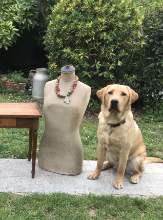 Ancien buste de mannequin de couture Stockman vintage 1950