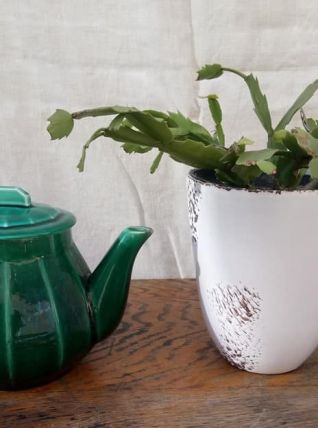 Ancienne théière de bistrot en céramique verte 