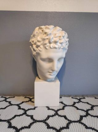 grand buste d'Appollon en plâtre