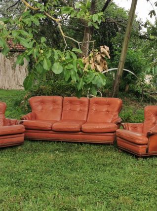 Salon complet en cuir vintage