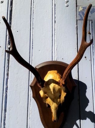 Massacre de cerf sur écusson