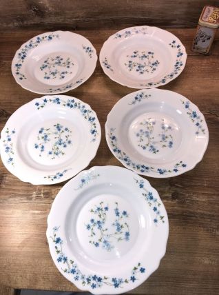 Assiettes Arcopal Myosotis Véronica Vintage 