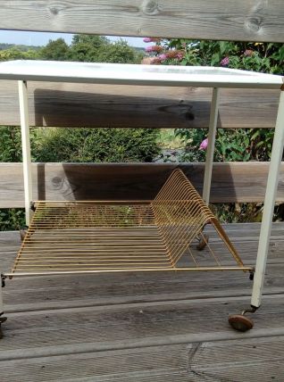 Range vinyles à roulettes