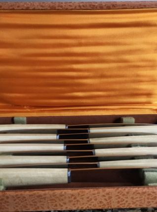 10 couteaux manche corne