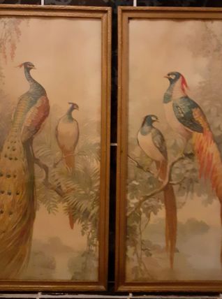 Lot de 2 illustrations encadrés couples Paons et Faisans 