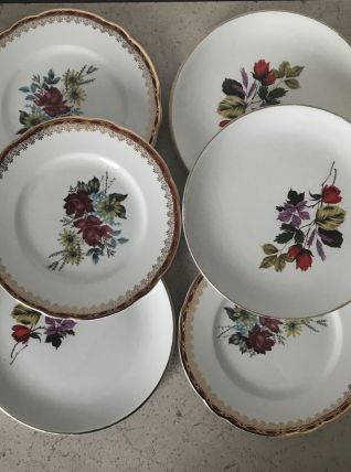 Série de 6 assiettes en porcelaine