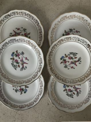 Série de 6 assiettes à dessert - en porcelaine
