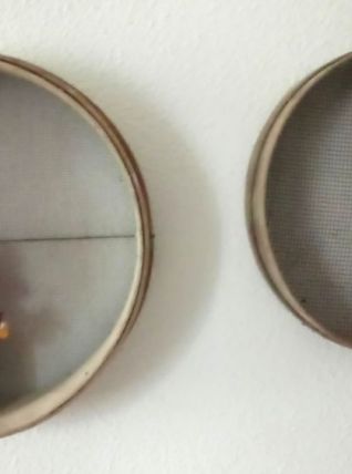 Anciens tamis à grains en boi