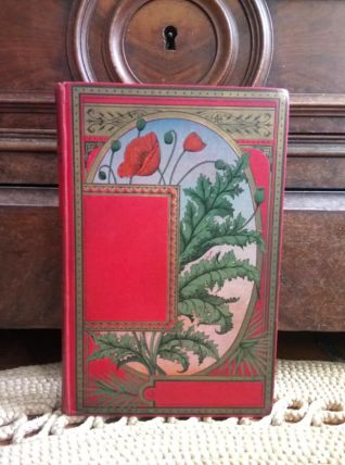 Livre ancien : " Les aventures de Jean-marie Potachou" 1895