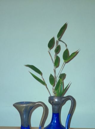 Duo de vases bleu de cobalt 
