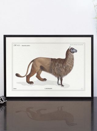 Chimère - gravure lithographie - l'alpalion