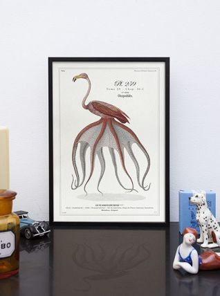 Chimère - gravure lithographie - le flamoulpe rose