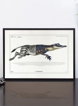 Chimère - gravure lithographie - le zèbrodile
