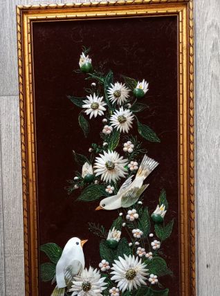 Nacres et coquillages. 