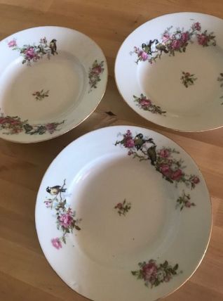 Assiettes creuses en porcelaine décor mésanges et roses