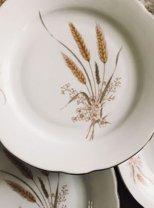 Lot de 8  belles assiettes à dessert en porcelaine Vintage