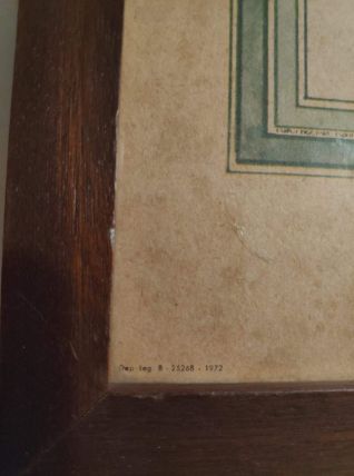 lithographie ancienne de rose 