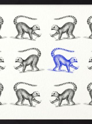 Gravure lithographie lémurien animal vintage