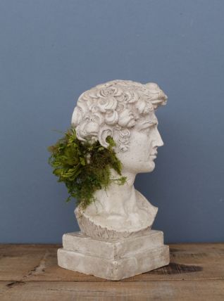 Tête David en plâtre - petite série - n°12
