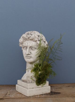 Tête David en plâtre - petite série - n°27